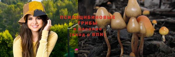 Альфа ПВП Наволоки